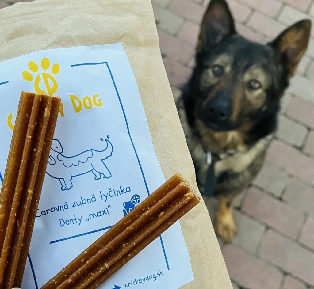 recompense curatare dinti caine