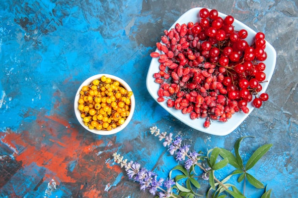 Berberină