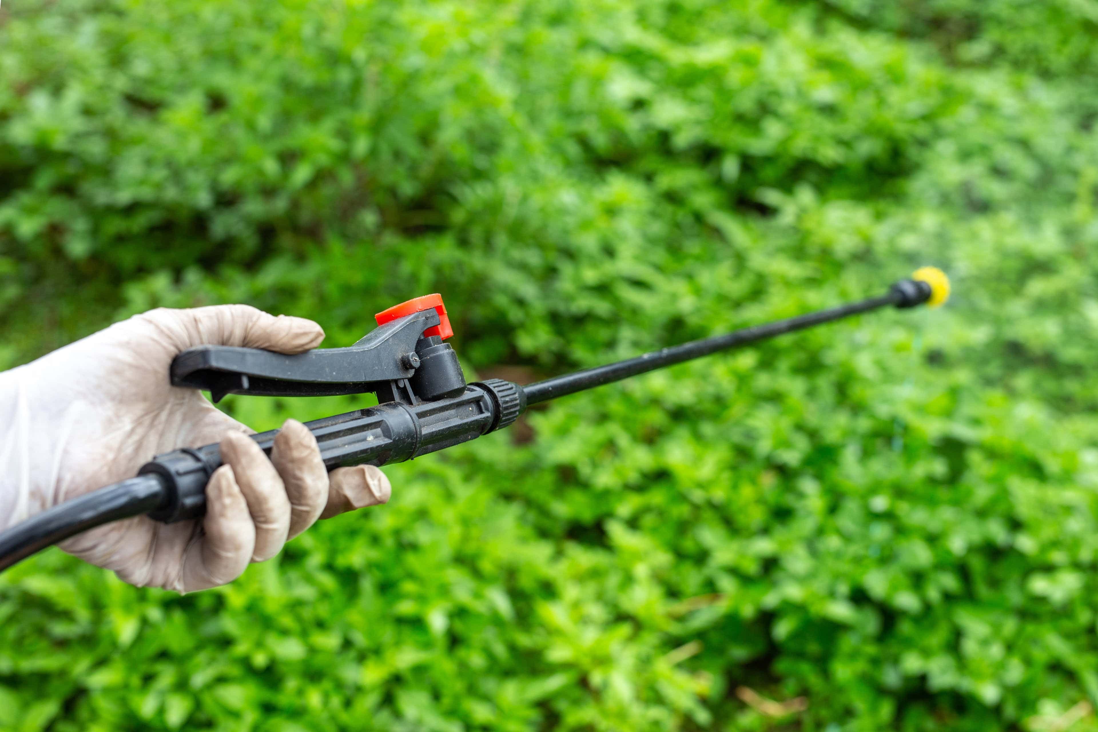 Cele mai bune pompe de stropit grădina