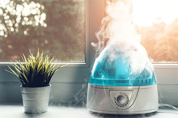 Cele-mai-bune-umidificatoare-recenzie.jpg