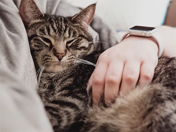 cele-mai-buone-smartwatch-recensie-top10.jpg