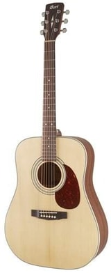 Cort Earth 70