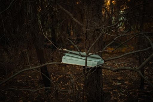 fotocarte cu amintiri vânătorești pentru totdeauna