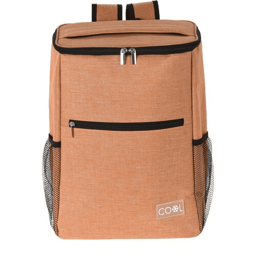 Geantă frigorică Bej