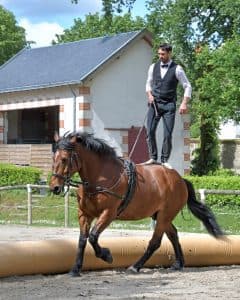 Lecții de călărie pentru un tată sportiv-cadouri pentru tați