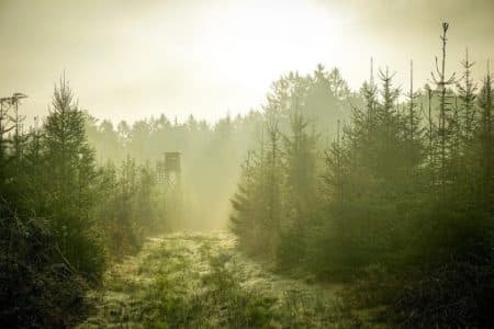 Întâlnire cu natura pentru un vânător amator