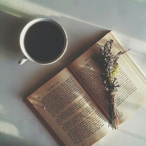 ceai delicat cadouri de 8 martie