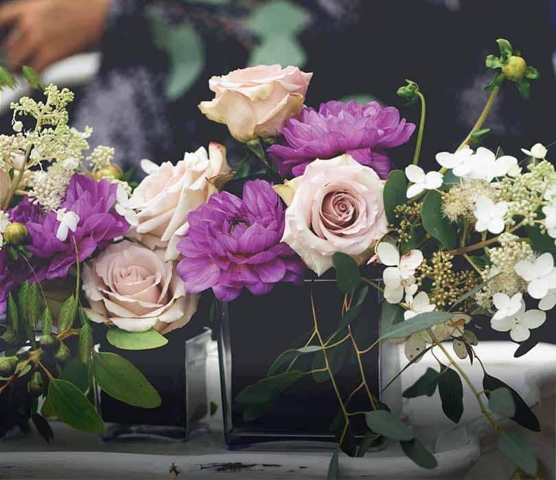 flori recolorate prin hidratare cadouri speciale