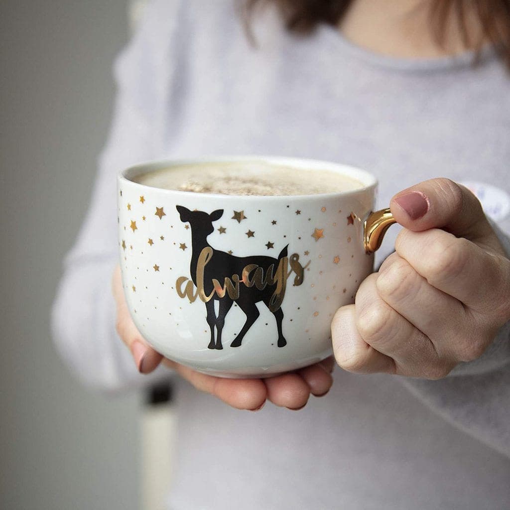 cadou casa noua fini cani