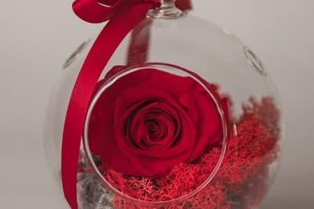 cadou pt iubita trandafir criogenat