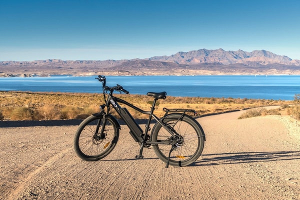 Biciclete electrice de munte