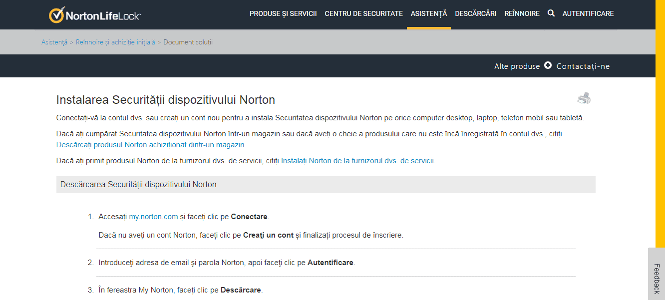 Norton Antivirus Instalarea programului