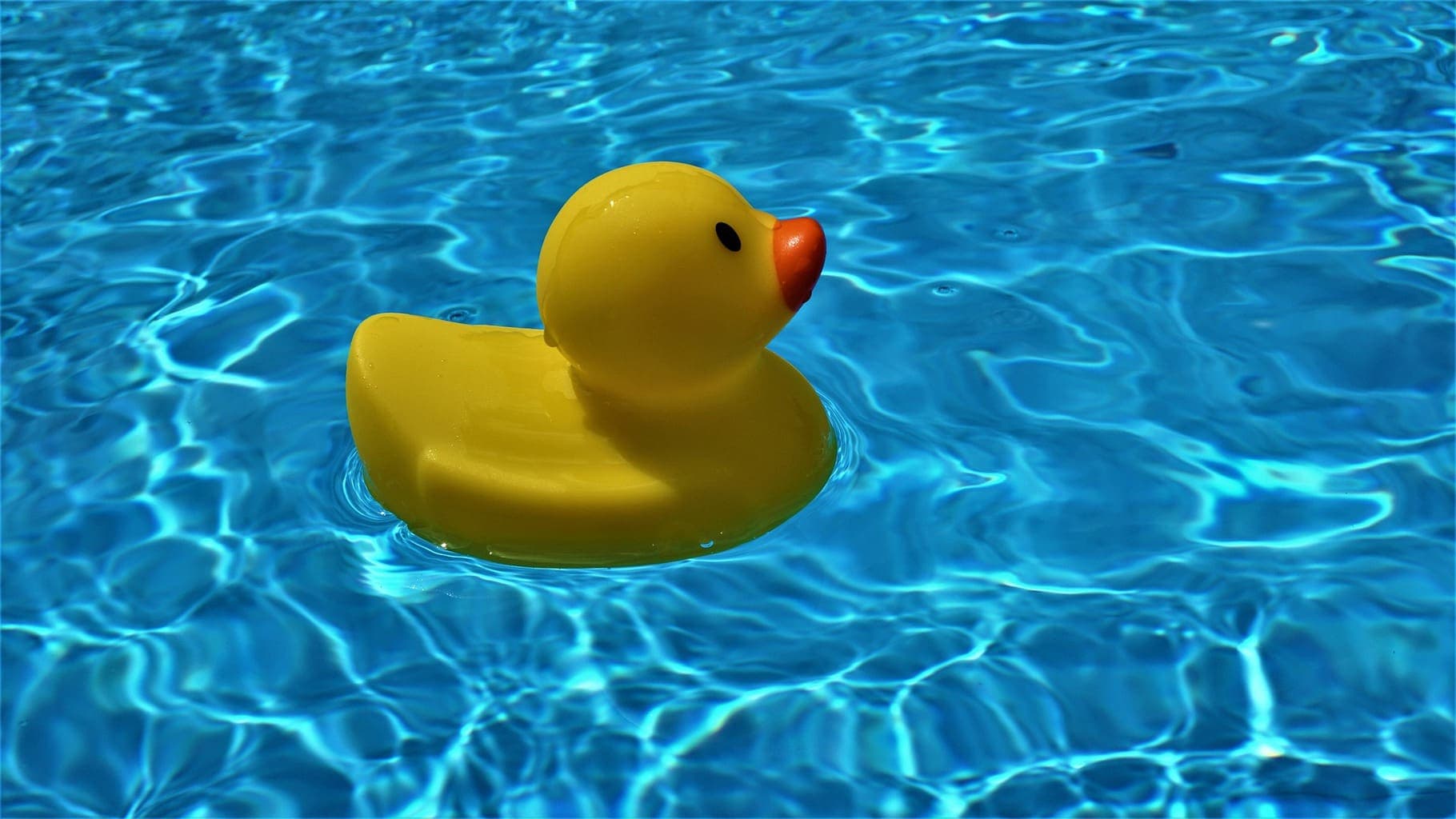 Cele mai bune piscine de grădină