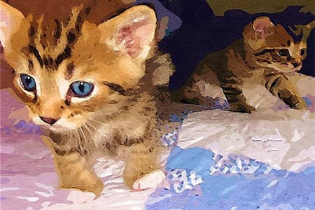 Idei de cadouri bebeluși pentru botez și alte sărbători