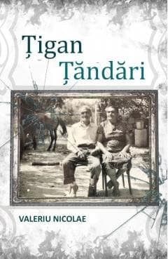 top carti de citit Țigan. Țăndări