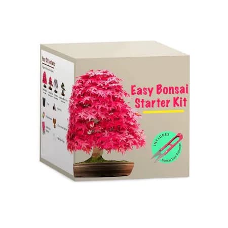 Un kit de creștere a plantelor