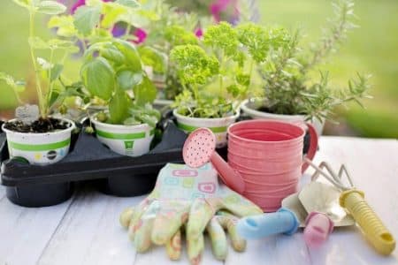 cadouri pentru părinți-Unelte și accesorii pentru grădinărit pentru părinții pasionați de horticultură