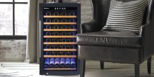 funcții frigider de vinuri